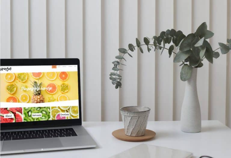 Pineapple House WordPress Custom Web Design
